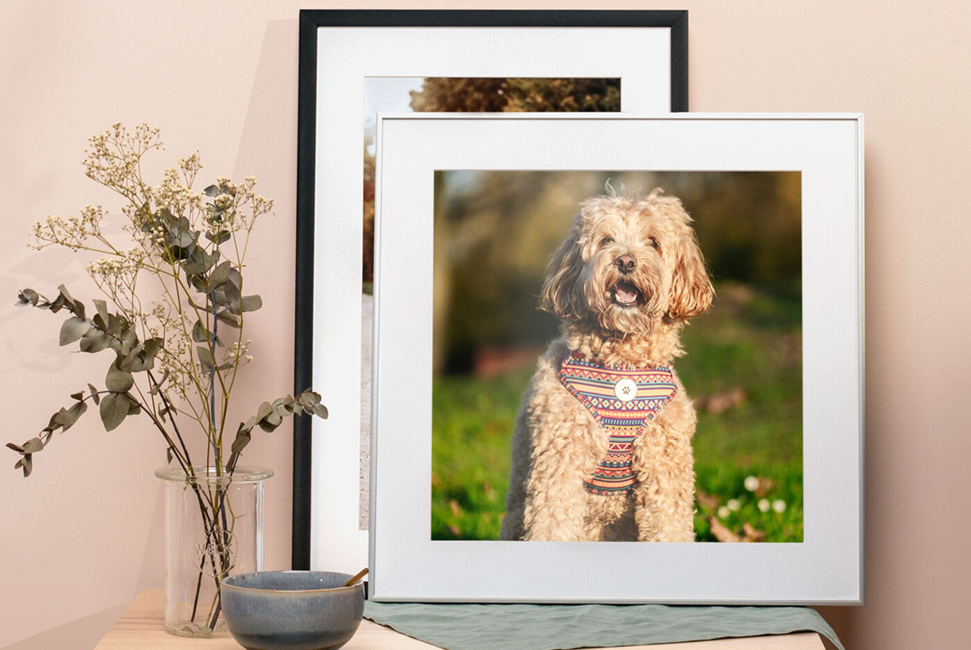 Poster mit schwarzem und weißem Rahmen und Passepartout stehen auf einem Tisch an eine Wand gelehnt, das vordere Poster zeigt ein Hundefoto