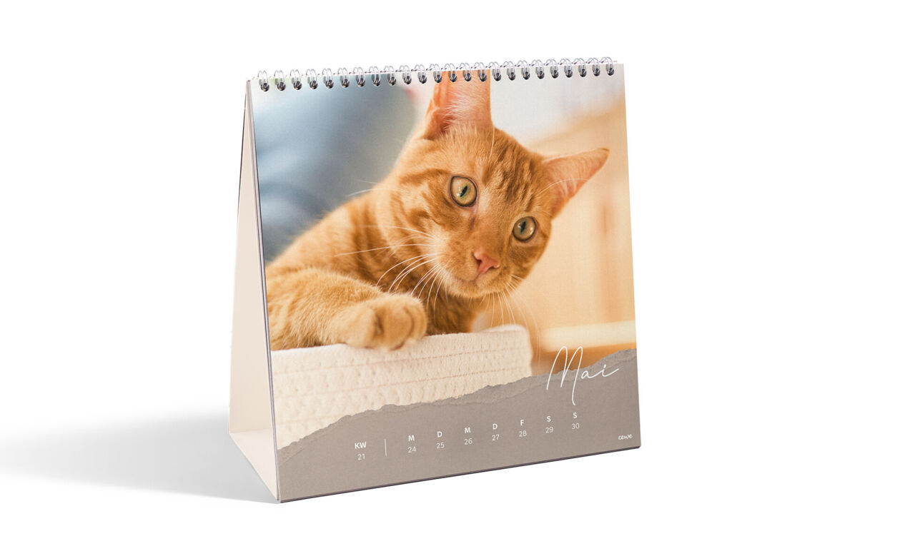 Quadratischer Tischkalender mit Wochenansicht, farbigem Design und Katzenfoto