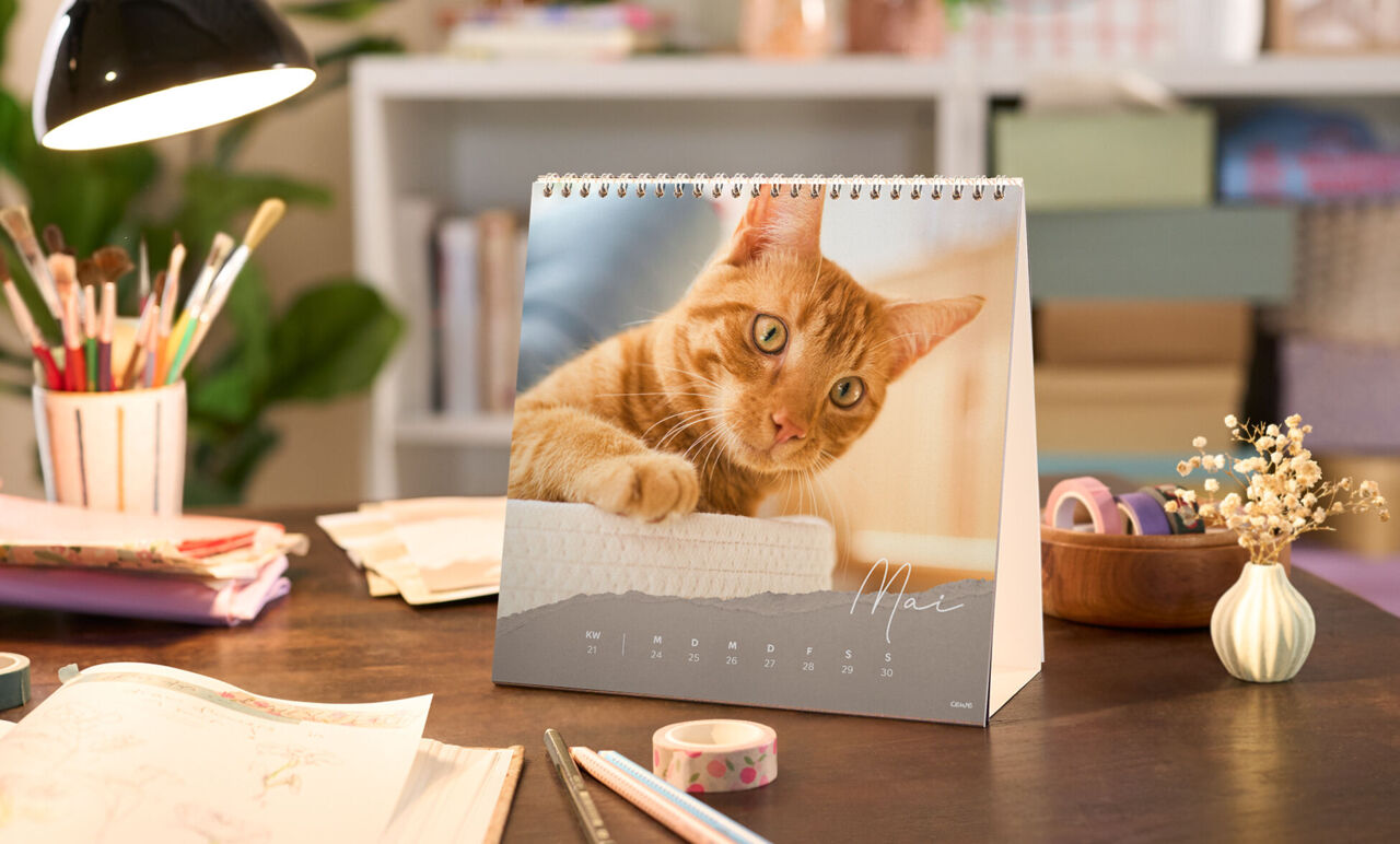 Quadratischer Tischkalender mit Wochenansicht, farbigem Design und Katzenfoto auf einem Schreibtisch