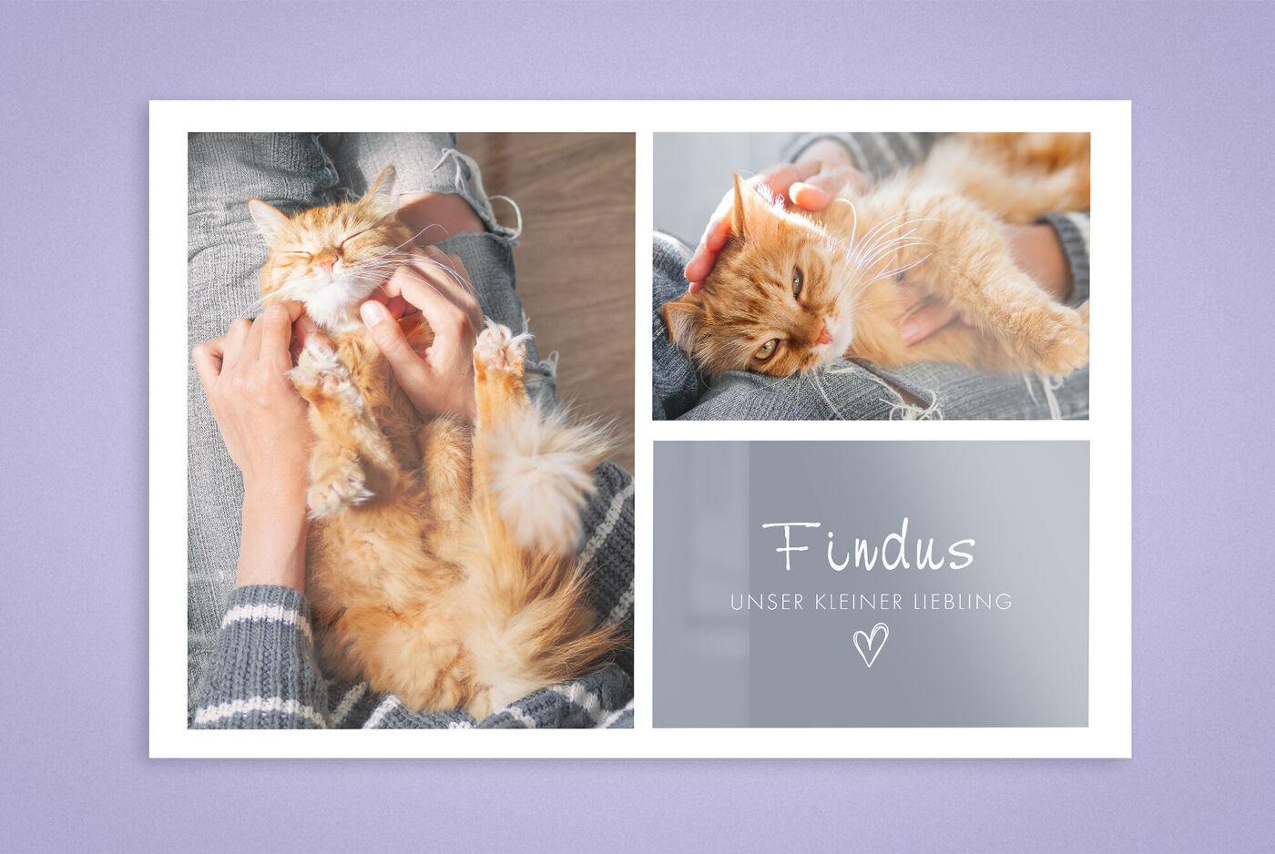 Eine liebevolle Momentaufnahme von einer Katze mit orangefarbenem Fell, die entspannt auf den Schenkeln einer Person liegt. Die Person streichelt sanft das Fell der Katze, während die andere Hand das Schnurren genießt. Im Bild ist der Text "Findus Unser